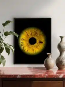 Tableau iris solo